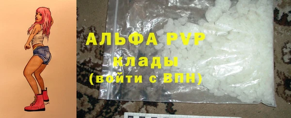 индика Арсеньев