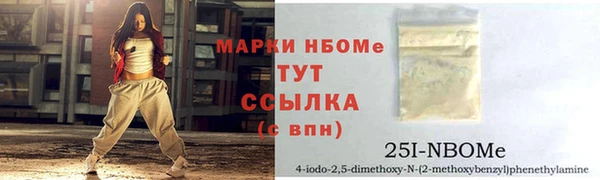 индика Арсеньев