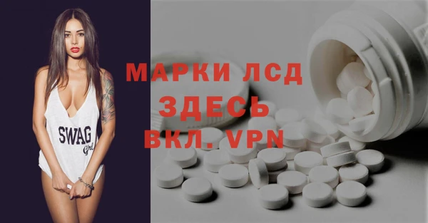 индика Арсеньев