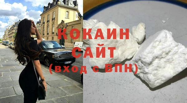 индика Арсеньев