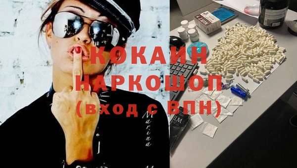 индика Арсеньев