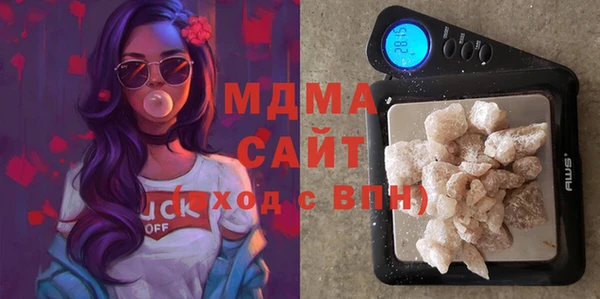 индика Арсеньев