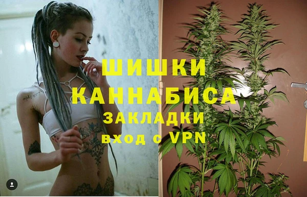 индика Арсеньев