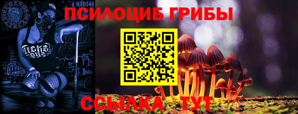Псилоцибиновые грибы Cubensis Дюртюли