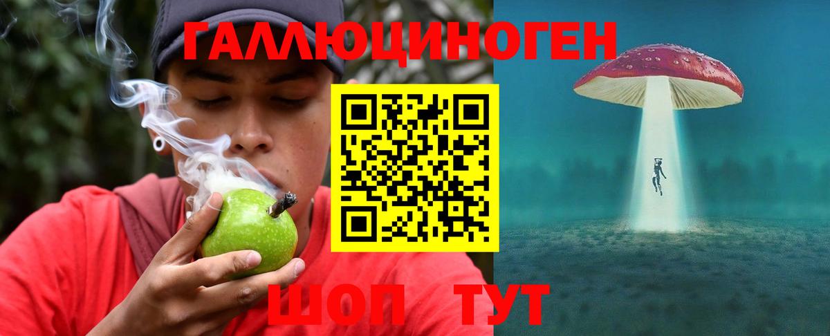 Галлюциногенные грибы Psilocybe  Вход с VPN  Дюртюли 
