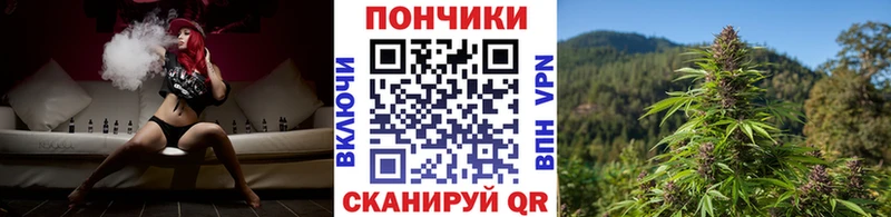 Канабис гибрид  Дюртюли 